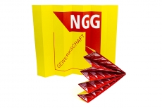 NGG-Klatschpappe